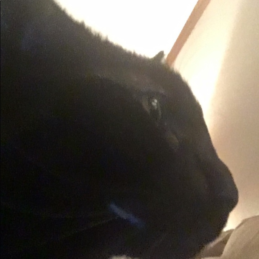 Meet your Posher, Karena